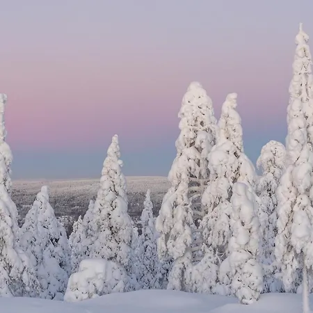Laakso Huoneisto *